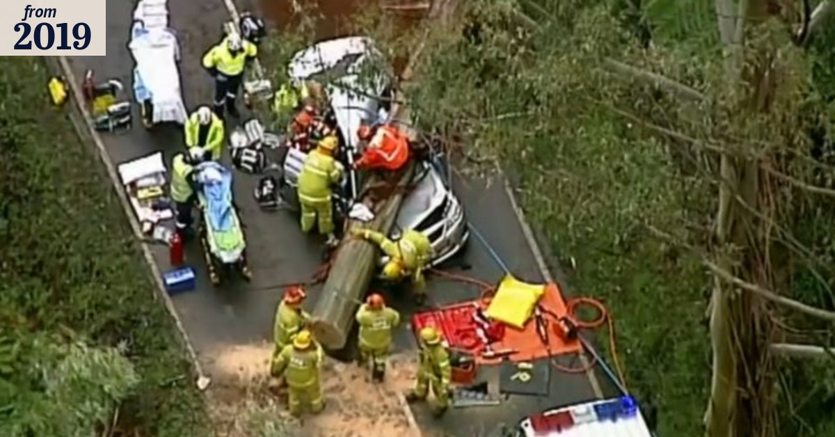 Woman dies, child critical after tree falls on car in wild winds ...