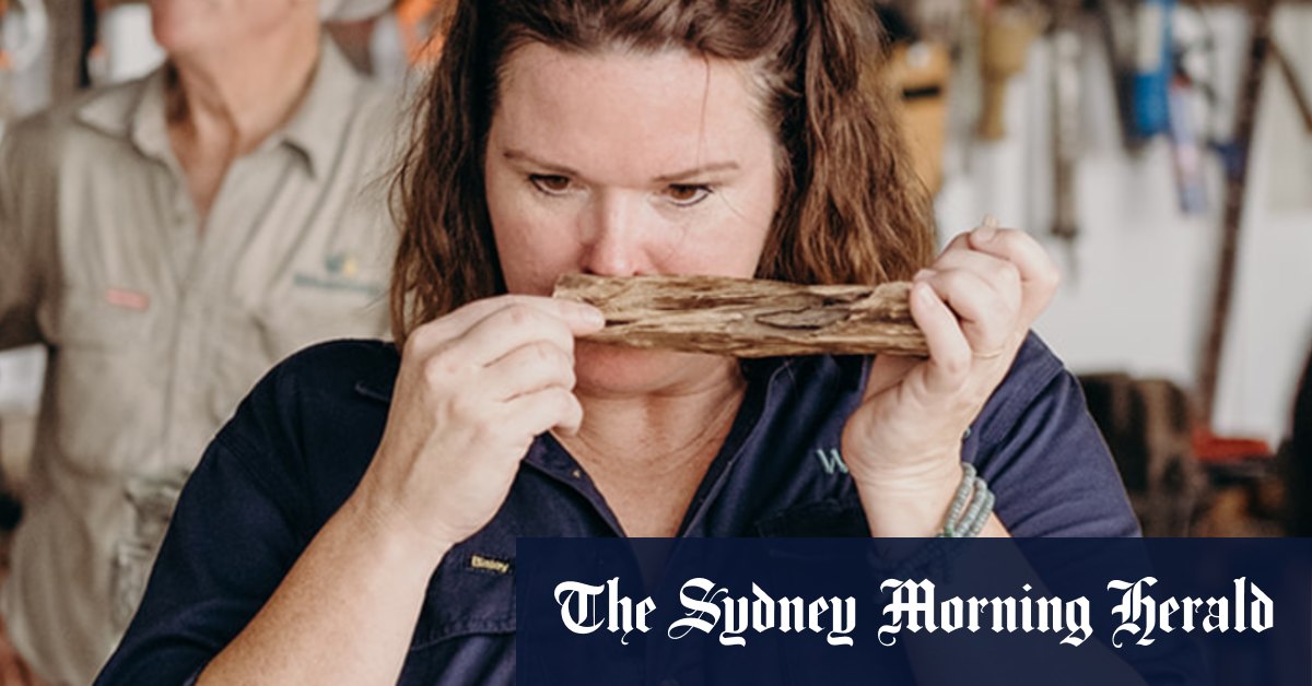 How Queensland farmers are growing it for the luxury perfume market
