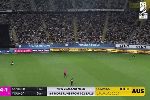 Matthew Wade makes a great diving catch against New Zealand.
