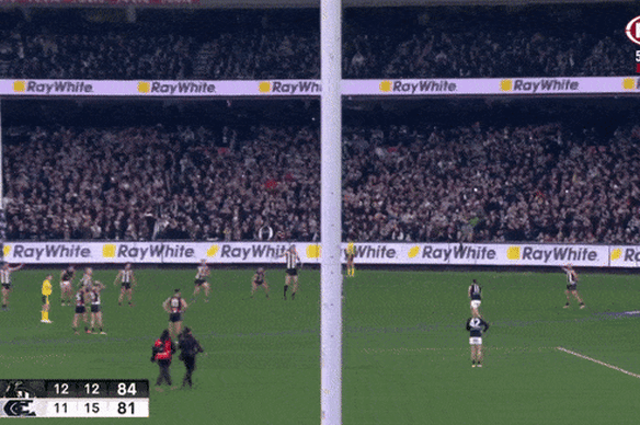 AFL 2024 round 21 LIVE updates North Melbourne v Richmond Tigers Collingwood Magpies v Carlton Blues Geelong Cats v Adelaide Crows Port Adelaide v Sydney Swans scores results fixtures teams tips games