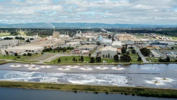 Australian Paper's mill at Maryvale in the La Trobe Valley.