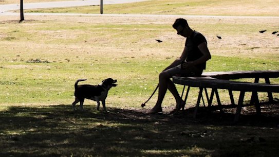 Are dog owners nicer people?