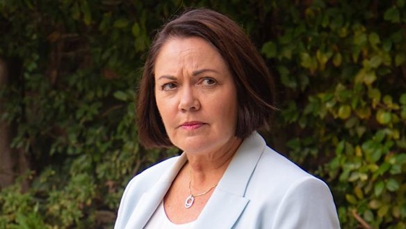 WA Opposition Leader Liza Harvey.
