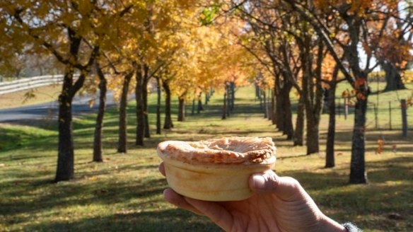 Who doesn't love a pie in winter?