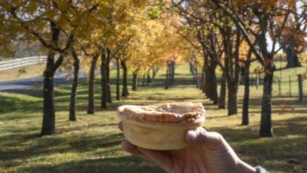 Who doesn't love a pie in winter?