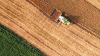 There are a number of important factors  contributing to the transformation of the food value chain.