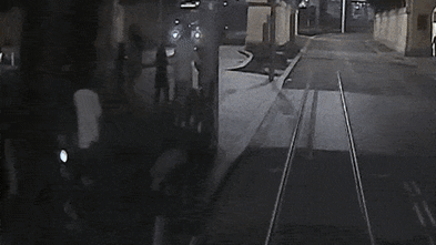 Near misses and lucky saves: The view from Sydney’s tram drivers’ cabins