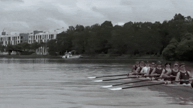 ‘Exactly what we need’: Call for shark danger rating system