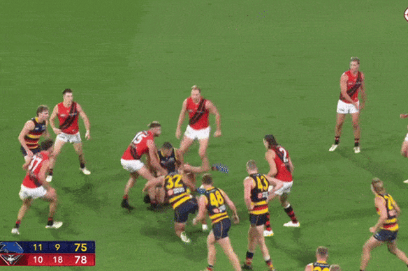Crows players react with frustration after a holding the ball decision was not paid against Essendon’s Sam Draper in the dying seconds of their round-six match.