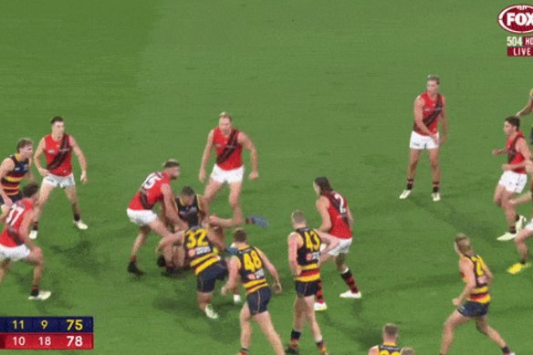 Crows left furious as Bombers hold on for win after controversial dying seconds