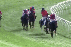 The clerk of the course got tangled up in a race at Warrnambool on Thursday.