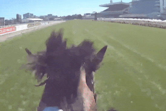 Jamie Kah’s view from her helmet-cam, just before she was overtaken in the Cup. 