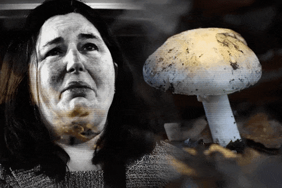 There were 10 hurdles Erin Patterson needed to jump, writes John Silvester.