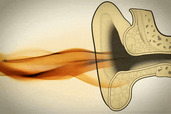 ‘I didn’t catch that’: The trouble with hearing