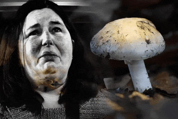 There were 10 hurdles Erin Patterson needed to jump, writes John Silvester.