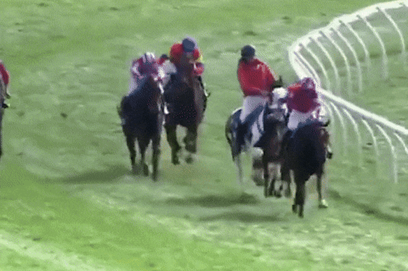 The clerk of the course got tangled up in a race at Warrnambool on Thursday.