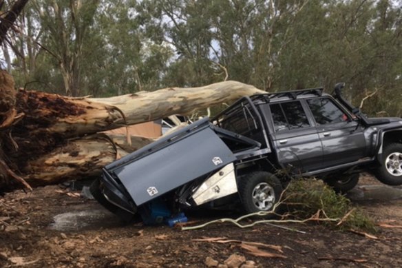 A tree fell on a car at Nagambie Lakes, in central Victoria.