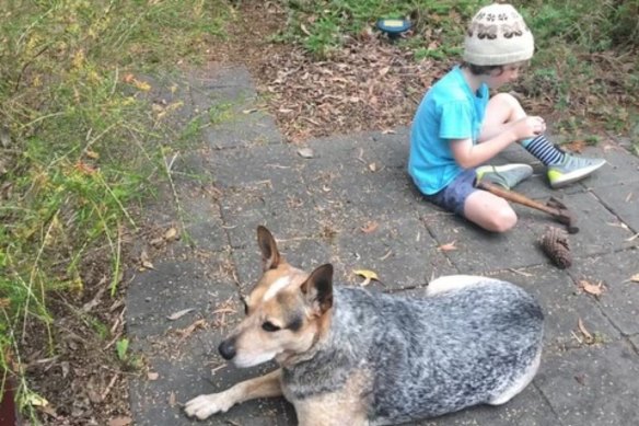 Oakley, pictured here with my son Frankie, was part of the family.