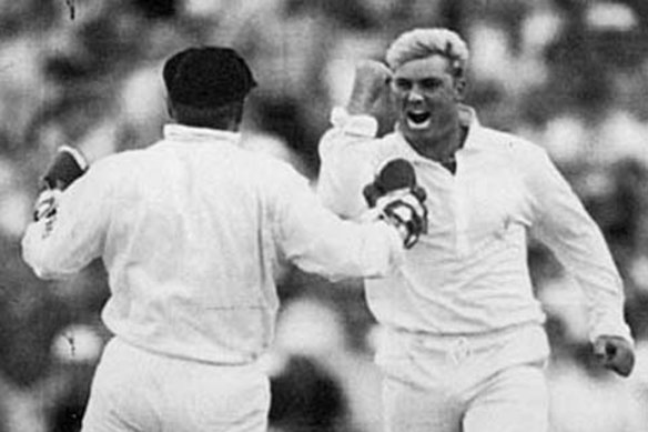Shane Warne set the 1993 Ashes series alight.