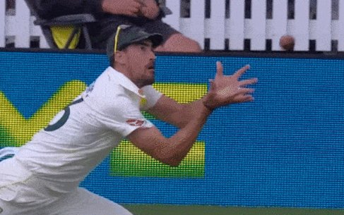 Starc catch
