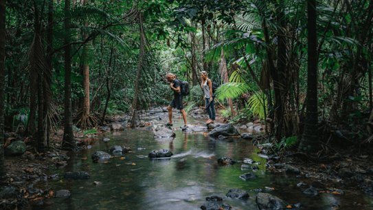 Cape Tribulation; Cottesloe Beach; Franklin River; Lord Howe Island.