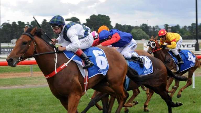 Summer lover: Red Excitement will look for back-to-back win in the Novemeber Topaz at Rosehill on Saturday
