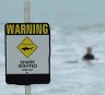 Shark warning issued for Perth beach after surfer 'pulled from board' 25 metres off shore