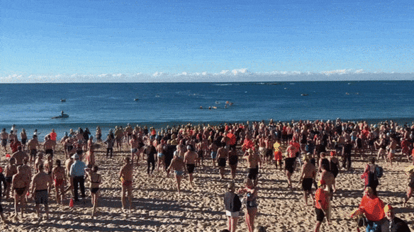 Los nadadores se adentran en el mar en Coogee el domingo.