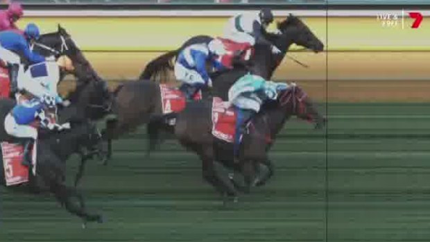 Mr Brightside’s owners thought they’d won the Cox Plate but the photo told a different story