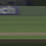 It could be the catch of the year, and this Kiwi has now taken it twice