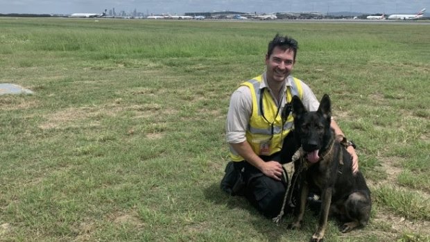 Ozzie and his handler Jackson Ring have been scaring birds away from Brisbane Airport runways for four months now.