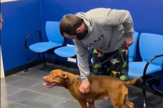 Baxter the dog and her owner were reunited on Monday night. 