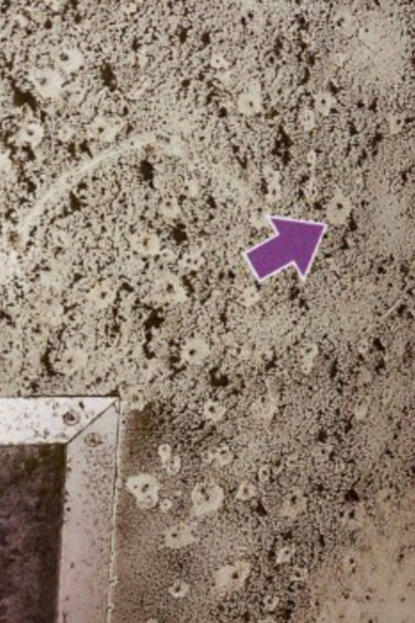 Mould found in a plant room at RPA.