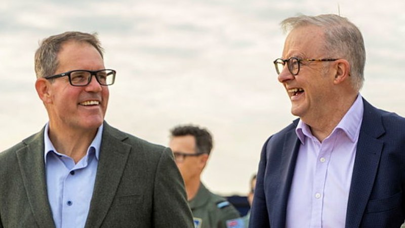 Albanese under pressure to stand aside Labor MP after assault charges