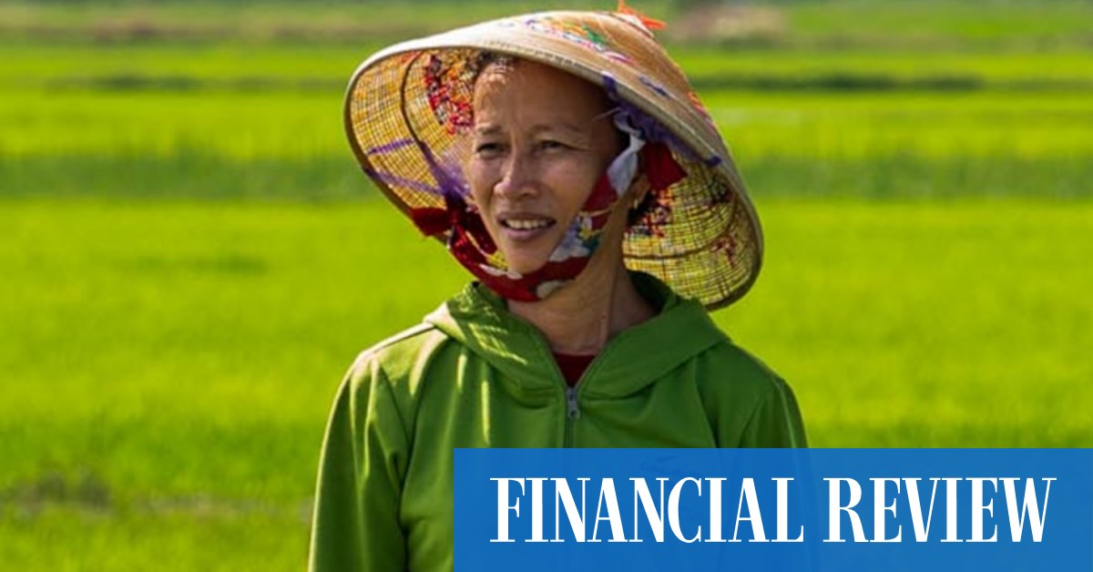 Aussie companies Orlar and SunRice on a mission to diversify farming in Vietnam's Mekong Delta from rice to other crops - Vimarsana News
