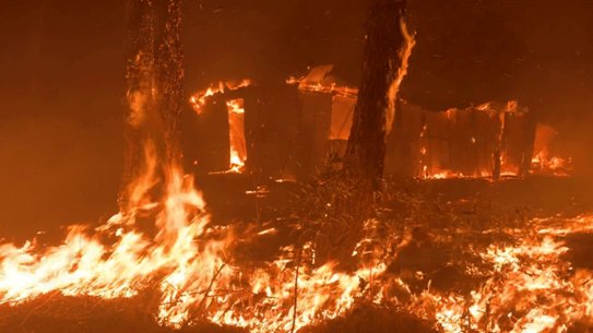 HP gif for Behind the lens