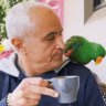 Why Sydney’s ‘bird man’ has to share his morning latte