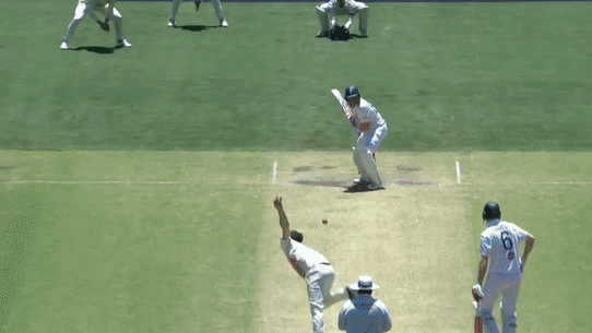 Marnus Labuschagne catch GIF.