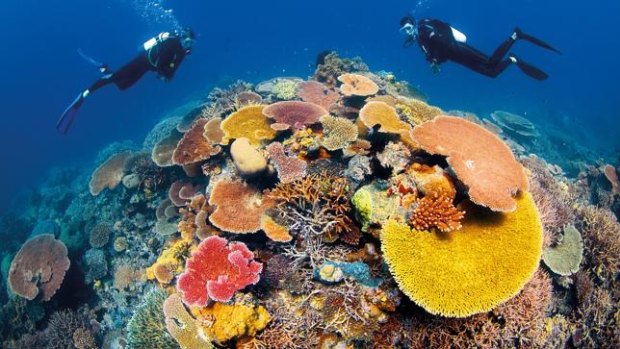 Australia's environment and science ministers begin to report to UNESCO in November 2019 on the past five-years of protecting the world-heritage listed Great Barrier Reef.