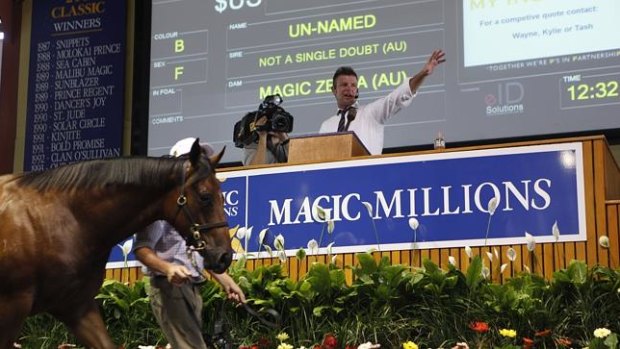 The Magic Millions sale continues to go from strength to strength.