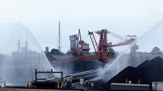 The chief executive of Port of Newcastle says the port must transition away from coal before it is too late. 