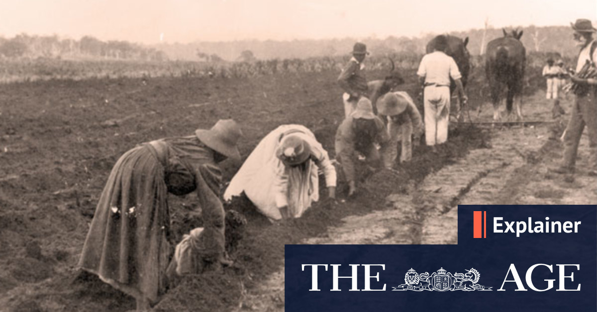 Slavery in Australia: What is blackbirding and how did racist policies shape our nation? - Vimarsana News