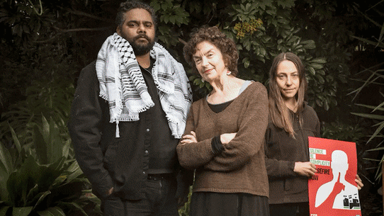 Pro-palestine protests in Melbourne