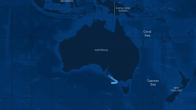 Humpbacks are an Australian success story. They have two advantages most whales don’t