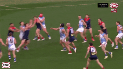 Xerri’s three-game ban stands, Cerra fined for ump bump; Dons lose Caddy as injury crisis deepens