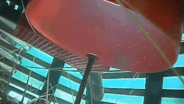A sea lion pokes its head into a rock lobster trap, but can’t get in because of the metal pole.