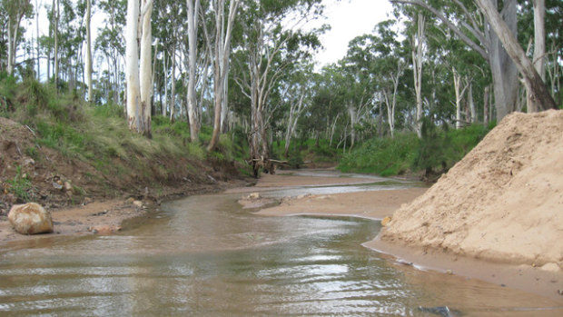 Adani's pipeline would suck 12.5 billion litres a year from the Suttor River in central Queensland.