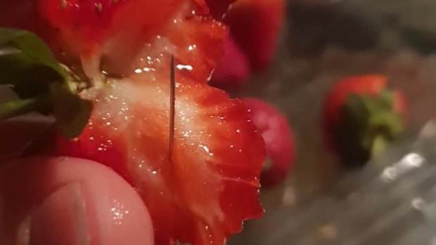 NSW mother Chantal Faugeras, of Wingham, posted these pictures of strawberries with needles in them to Facebook, saying she purchased them at the local Coles.