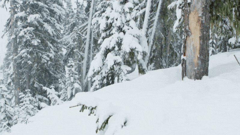 ‘This isn’t the ’90s. Times have changed’: My middle-aged reality check on a mountain