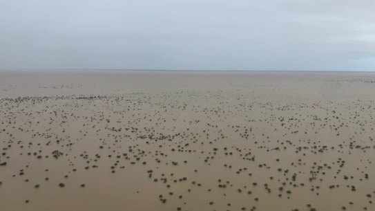 Severe flooding stretches across a vast area of the Queensland Gulf in north west Queensland.